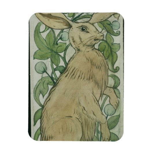 Hare (w/c auf Papier) Magnet (Vertikal)