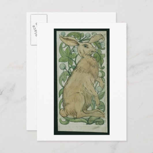 Hare (w/c auf Papier) Postkarte (Vorne/Hinten)
