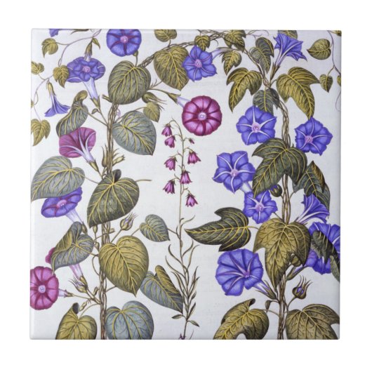 Harebell und Convovulus Fliese (Vorderseite)