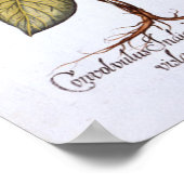 Harebell und Convovulus Poster (Ecke)