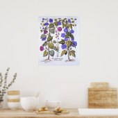 Harebell und Convovulus Poster (Küche)