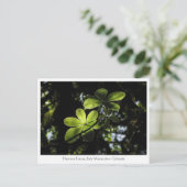 Harenna Forest Ethiopia Postkarte (Stehend Vorderseite)