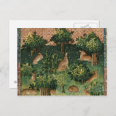 Hares in einem Wald Postkarte (Vorne/Hinten)