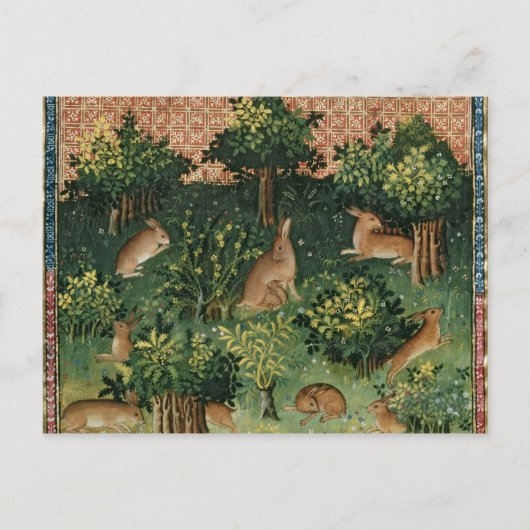 Hares in einem Wald Postkarte (Vorderseite)