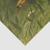 Hares Seidenpapier (Detail)