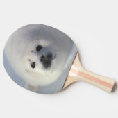 Harfe Siegel Phoca groenlandica) Eine einwöchige H Tischtennis Schläger (Seitenansicht)