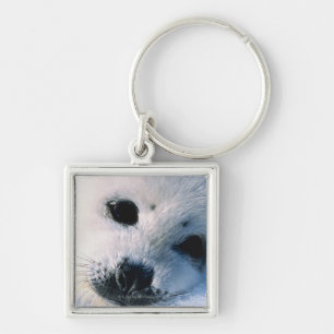 Harfen-Siegelwelpe 2 Schlüsselanhänger
