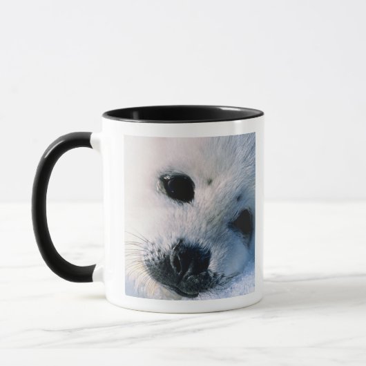 Harfen-Siegelwelpe 2 Tasse (Links)
