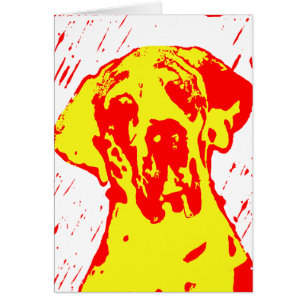 Harle Dane Rot Gelb