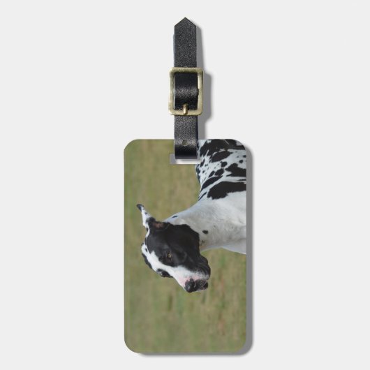 Harlekin-Deutsche Dogge Gepäckanhänger (Vorderseite vertikal)