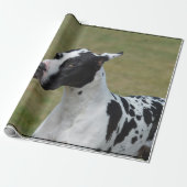Harlekin-Deutsche Dogge Geschenkpapier (Ungerollt)