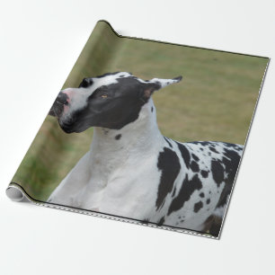 Harlekin-Deutsche Dogge Geschenkpapier