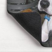 Harlekin-Deutsche Dogge Mousepad (Ecke)