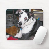 Harlekin-Deutsche Dogge Mousepad (Mit Mouse)