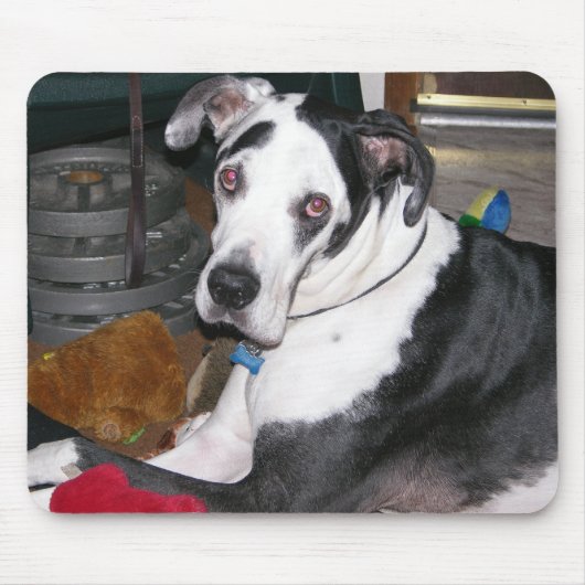 Harlekin-Deutsche Dogge Mousepad (Vorne)