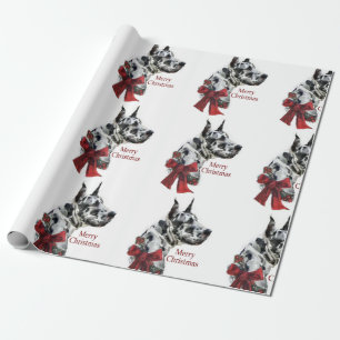 Harlekin-Dogge-Weihnachten Geschenkpapier