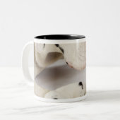 Harlekin-Doggewelpe, der auf Mutter schläft Zweifarbige Tasse (Vorderseite Links)