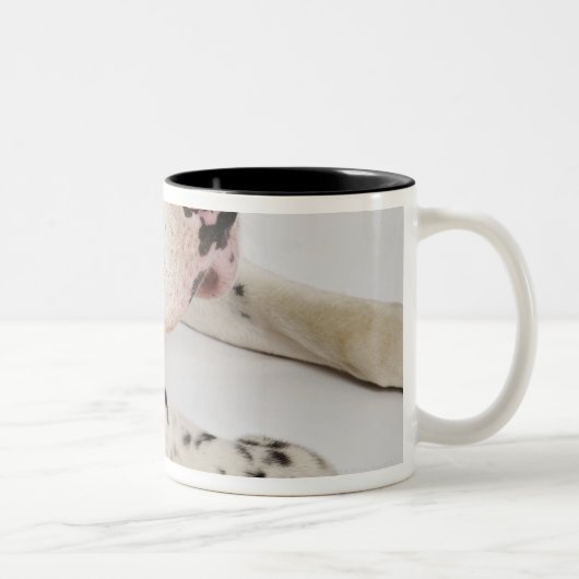 Harlekin-Doggewelpe, der auf Mutter schläft Zweifarbige Tasse (Rechts)