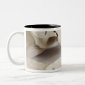 Harlekin-Doggewelpe, der auf Mutter schläft Zweifarbige Tasse (Links)