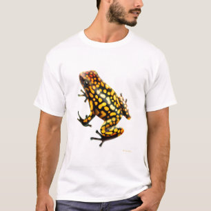 Harlekin-Gift-Pfeil-Frosch-T - Shirt