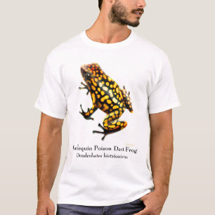 Harlekin-Gift-Pfeil-Frosch-T - Shirt