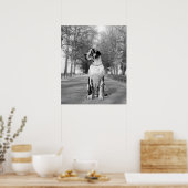 Harlekin Great Dane Poster (Küche)