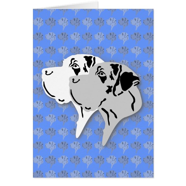 Harlekin und Merle Dane Heads (Vorne)