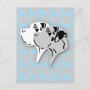 Harlekin- und Merle-Doggenköpfe Postkarte