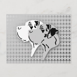 Harlekin und Merle Doggenköpfe Postkarte
