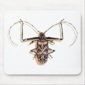 "Harlekinkäfer" Insekten-Aquarell-Wanze Mousepad (Vorne)