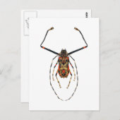 Harlequin Beetle Postkarte (Vorne/Hinten)