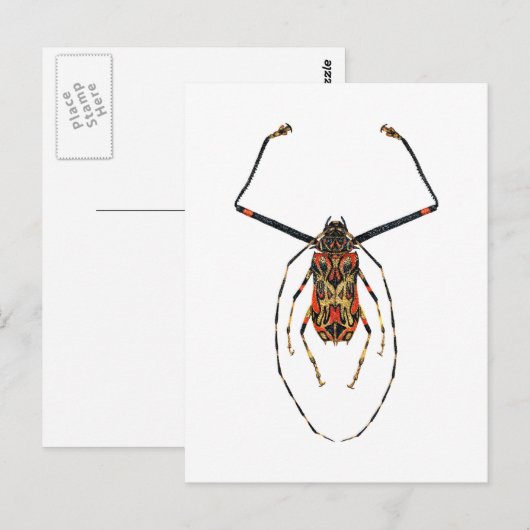 Harlequin Beetle Postkarte (Vorne/Hinten)