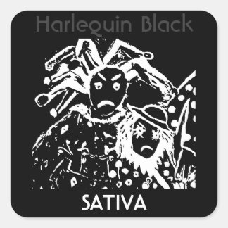 Harlequin Black Sativa Quadratischer Aufkleber