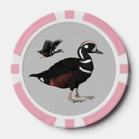Harlequin Duck Poker Chips (Vorderseite)