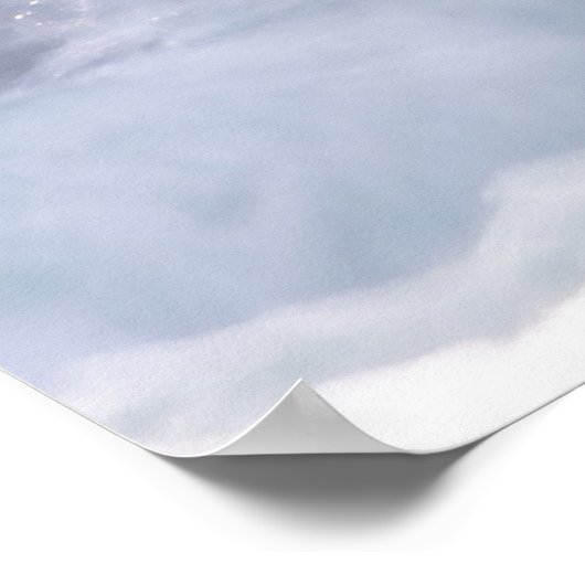 Harlequin Duck Poster (Ecke)