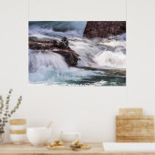 Harlequin Duck Poster (Küche)