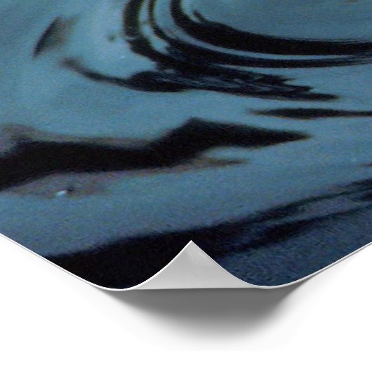 Harlequin Duck Poster (Ecke)