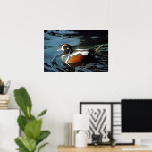 Harlequin Duck Poster (Heimbüro)