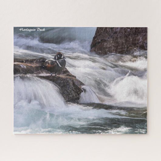 Harlequin Duck Puzzle (Horizontal)
