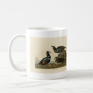 Harlequin Duck - von Audubons Vögeln Amerikas Kaffeetasse