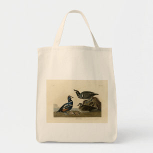 Harlequin Duck - von Audubons Vögeln Amerikas Tragetasche