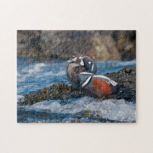 Harlequin-Ente im Meeressurfen Puzzle
