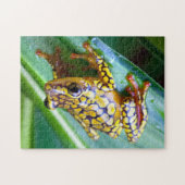 Harlequin Giison Dart Frog Puzzle (Horizontal)
