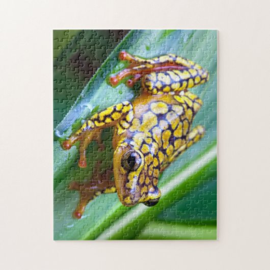Harlequin Giison Dart Frog Puzzle (Vertikal)