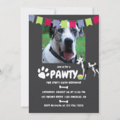 Harlequin Great Dane Birthday Foto Einladung (Vorderseite)