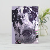 Harlequin Great Dane Card super Preis! (Stehend Vorderseite)