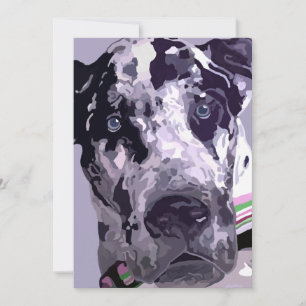 Harlequin Great Dane Card super Preis!
