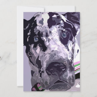 Harlequin Great Dane Card super Preis!