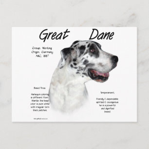 Harlequin Great Dane History Design Postkarte