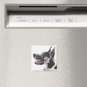 Harlequin Great Dane Magnet (In Situ (Geschirrspüler))